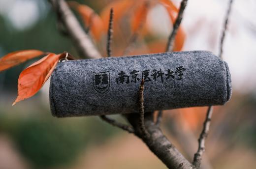 毛毡笔袋 商品图0