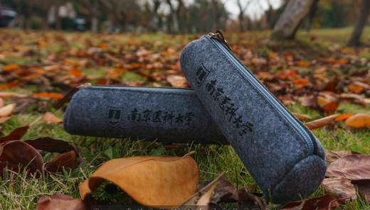 毛毡笔袋 商品图1