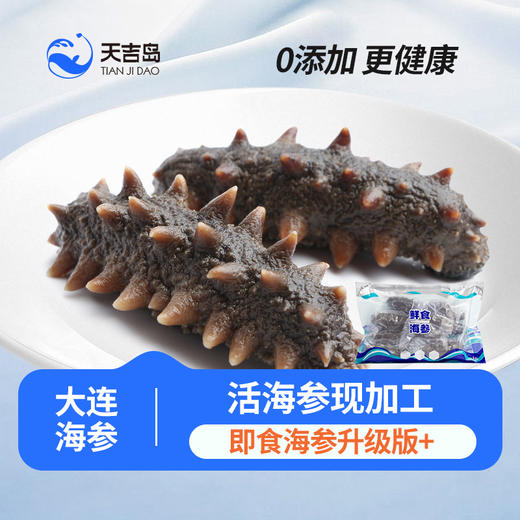天吉岛 鲜食海参 11-14只（1斤/袋） 商品图0