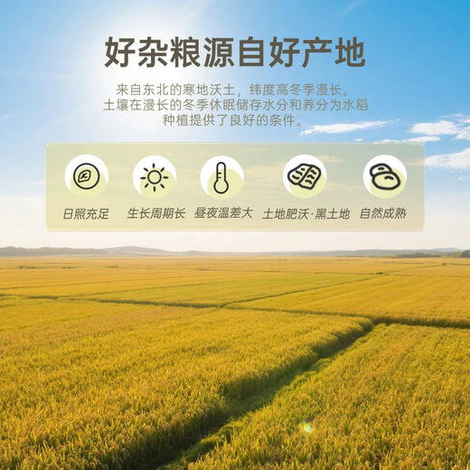 和粮溢田有机小米 商品图3