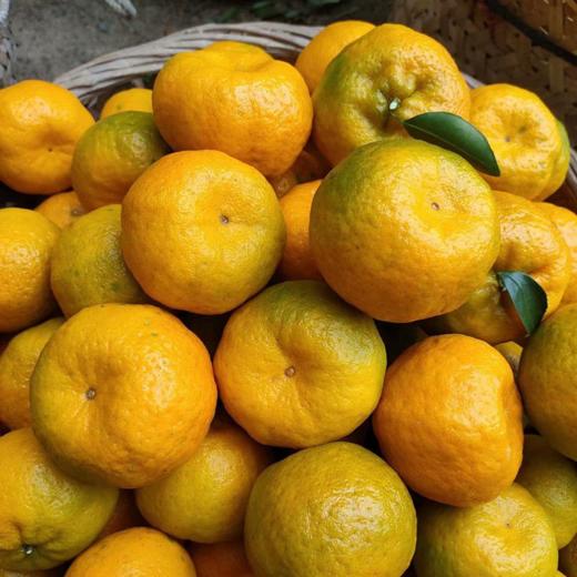 [七彩鲜生]碰柑1kg【俊发城次日自提】 商品图3