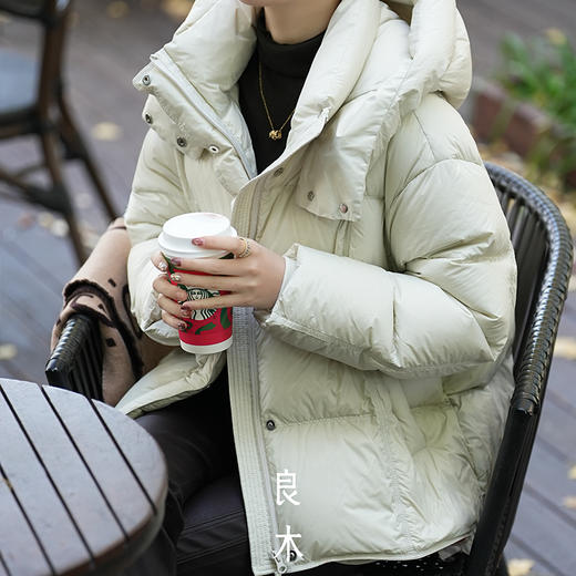 【特价不退换】【预售7天】良木礼鹅绒服（D258313） 商品图4