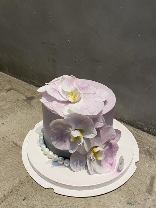 雾紫蝶兰 商品图2