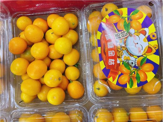 冰糖金桔一盒 商品图1