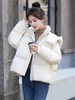 【自营】155g蓬松保暖【羽绒服】韩系连帽绗缝爆款蓬松百搭短款羽绒服-喜出 商品缩略图0