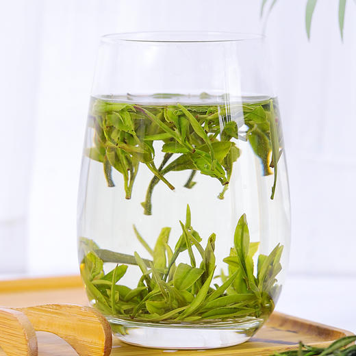 【2026年新茶！下单立即发货】奇松 黄山毛峰 一级烘青 轩辕峰礼盒 300g/盒【天猫同款】 商品图3