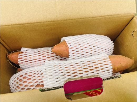 文君蜜薯一箱(地瓜） 商品图1