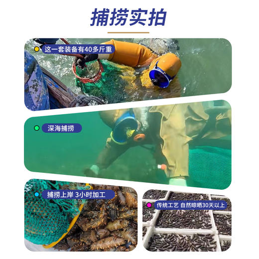 天吉岛 淡干海参60-80头（75个）500g 商品图4