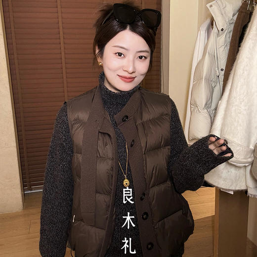 【特价不退换】【预售7天】良木礼羽绒马甲（D251102208F） 商品图0