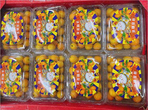 冰糖金桔一盒 商品图0