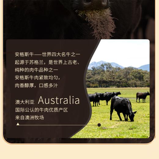 【现货-澳洲谷饲】纯血黑安格斯200天牛腱1000g 商品图3
