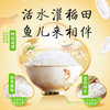 DH 金龙鱼稻谷鲜生6步鲜雪域稻花香5kg(塑料袋) 商品缩略图4