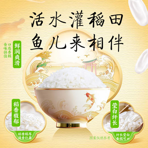 DH 金龙鱼稻谷鲜生6步鲜雪域稻花香5kg(塑料袋) 商品图4