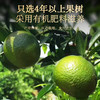 【直发】杞里香45g罐装陈皮 商品缩略图2