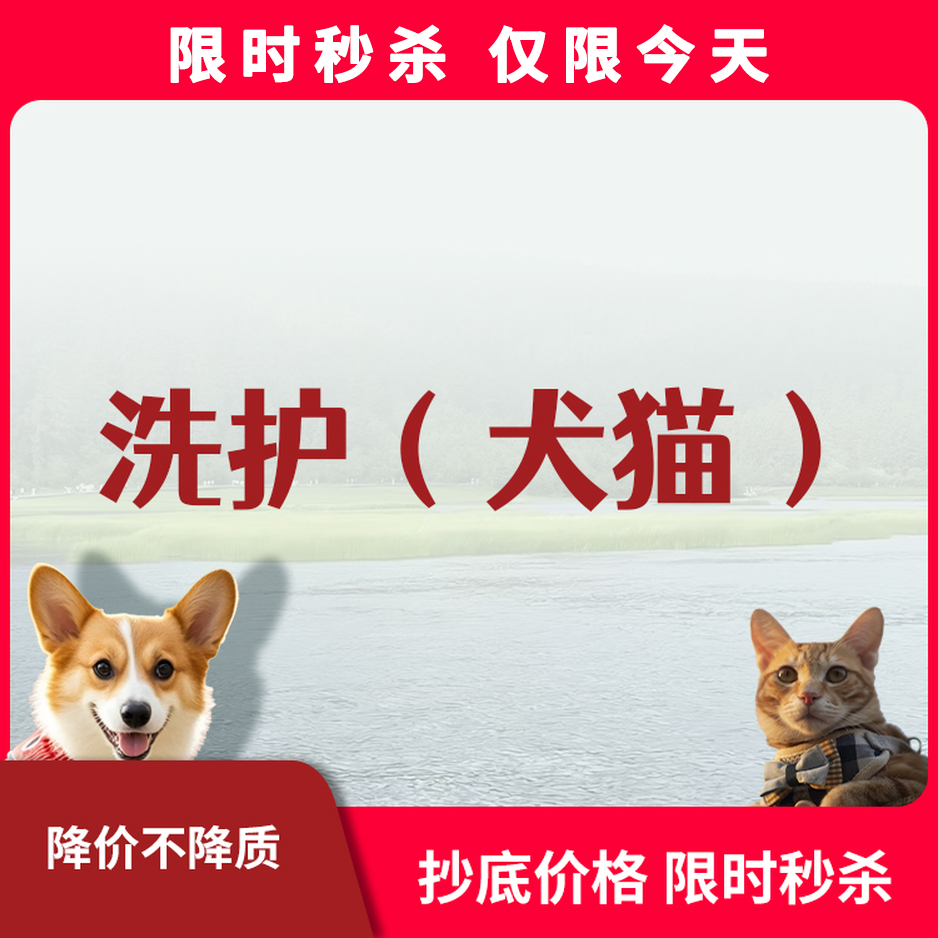 限时秒杀丨犬猫洗护
