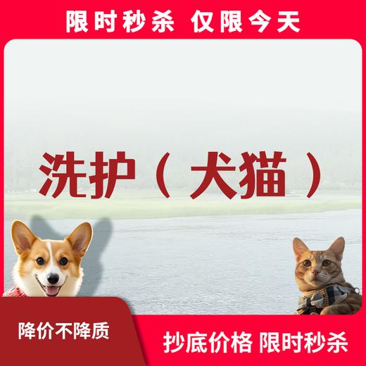 限时秒杀丨犬猫洗护 商品图0