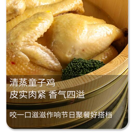【现货-国企联名】山林散养童子鸡2只1600g 商品图2