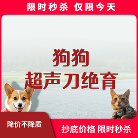 限时秒杀丨狗狗超声刀绝育套餐