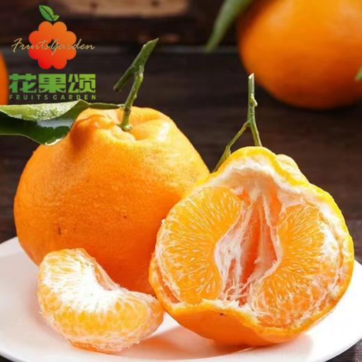 特价耙耙柑 商品图0