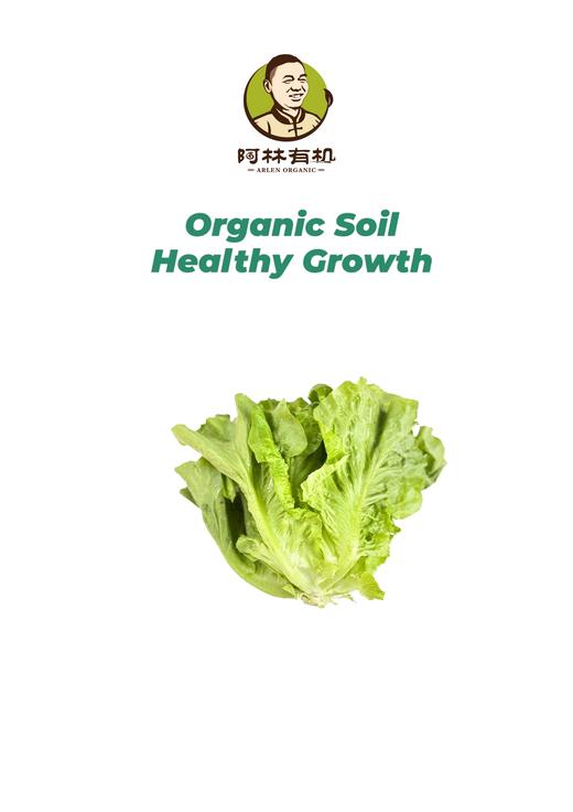 有机散叶生菜 商品图0