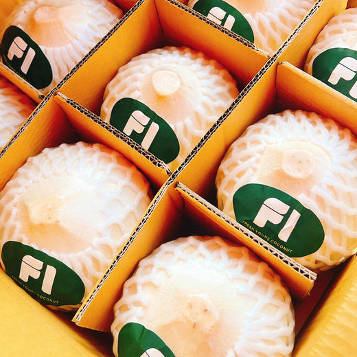 泰国FI 椰青 进口水果 约2.5斤/只 商品图1