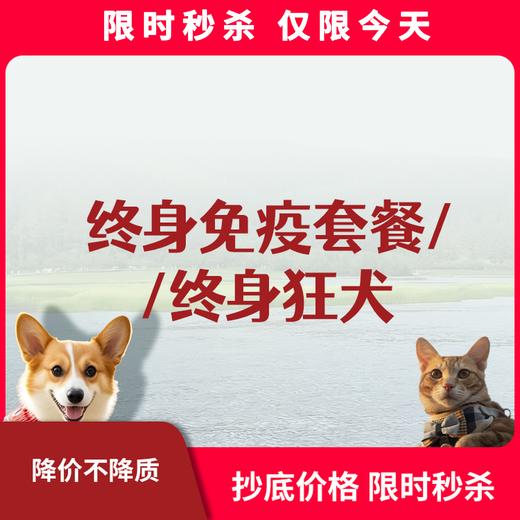 限时秒杀丨终身免疫疫苗 商品图0