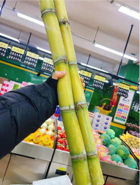 陶山黄金甘蔗2根