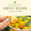 【脆皮金桔】果肉细腻多汁 一口爆汁大甜桔 膳食纤维丰富 3斤装 商品缩略图4