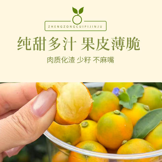 【脆皮金桔】果肉细腻多汁 一口爆汁大甜桔 膳食纤维丰富 3斤装 商品图4