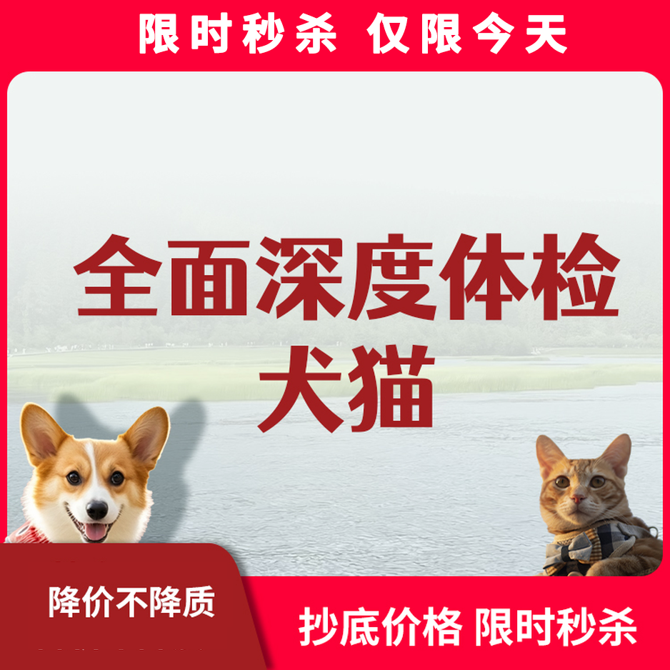 限时秒杀丨犬猫全面体检套餐