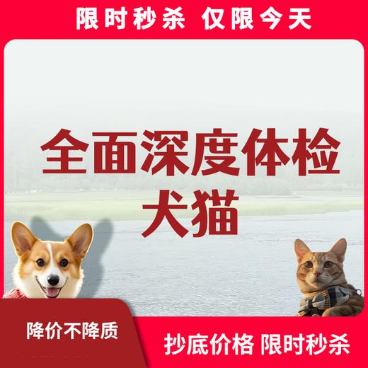 限时秒杀丨犬猫全面体检套餐 商品图0