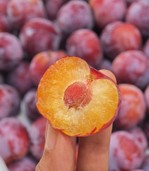 冰糖脆李子（盒） 商品图1