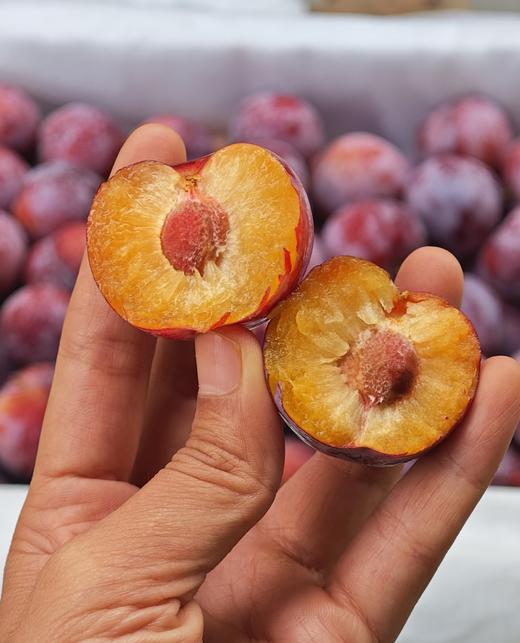 冰糖脆李子（盒） 商品图2