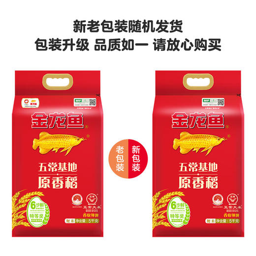 DH 金龙鱼原香稻 5kg(塑料袋) 升级版 商品图1