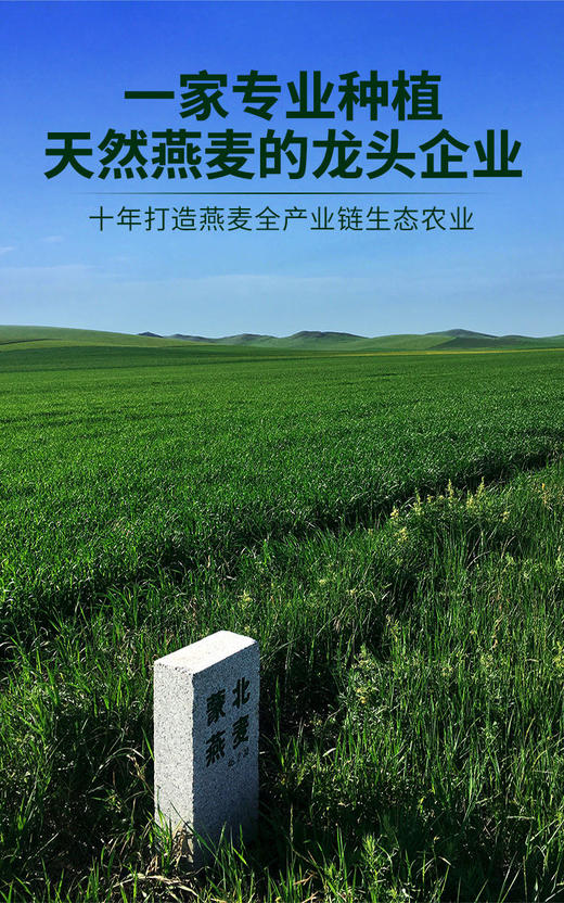 蒙北有机植物奶粉 商品图4