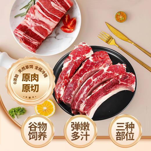 【现货-澳洲谷饲】安格斯牛肋排牛肉组合2000g 商品图4