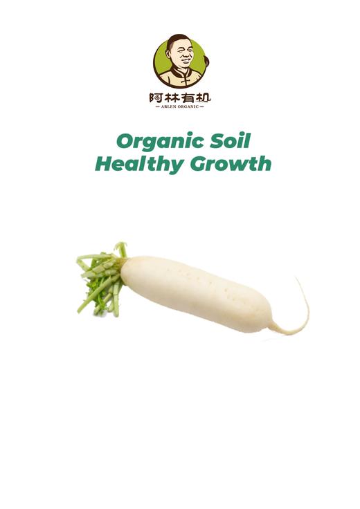 有机白萝卜 500g 商品图0