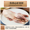 【现货-国企联名】山林散养老母鸡麻鸭组合1950g 商品缩略图4