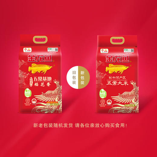 ASZ 金龙鱼牤牛河产区五常大米5kg(塑料袋) 五常定制 商品图2