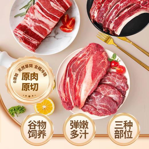 【现货-澳洲谷饲】安格斯牛肋排牛肉牛腱组合3000g 商品图4