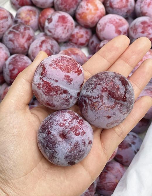 冰糖脆李子（盒） 商品图3