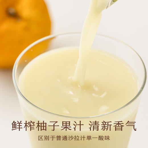 南食召 柚子沙拉汁 商品图2