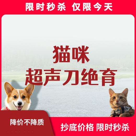 限时秒杀丨猫咪超声刀绝育套餐 商品图0