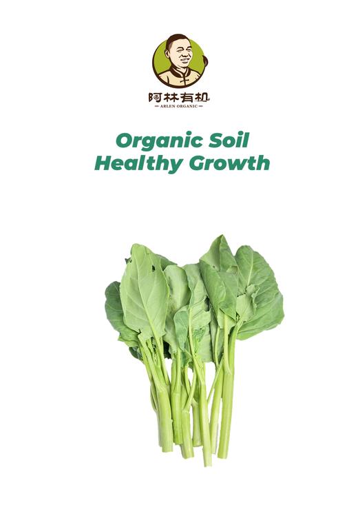 有机芥兰500g 商品图0