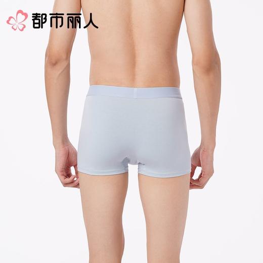 都市丽人男士内裤40S棉拉架平角裤明筋人棉平角FKCG07 商品图3
