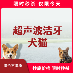限时秒杀丨犬猫超声波洁牙