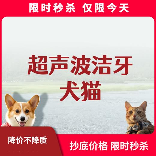 限时秒杀丨犬猫超声波洁牙 商品图0