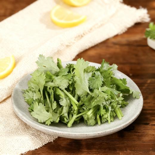 有机香菜50g 商品图2