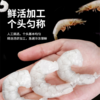 【现货-无冰衣抽肠】大号青虾仁8包1600g 商品缩略图4