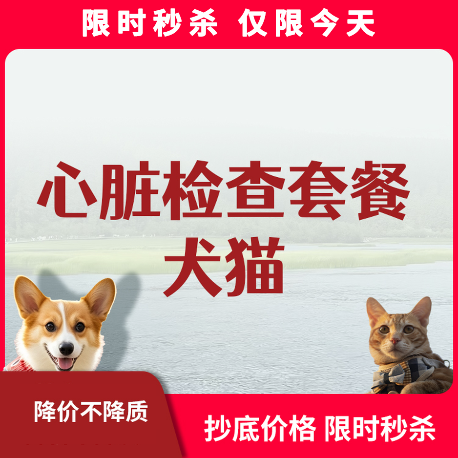 限时秒杀丨犬猫心脏体检套餐